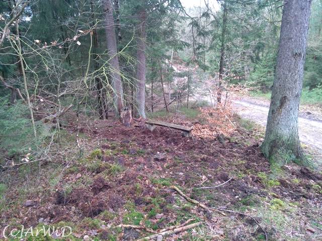 ©Schutzhütte am Hang (3)