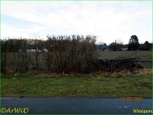 ©Standort Bank Weesen 2021