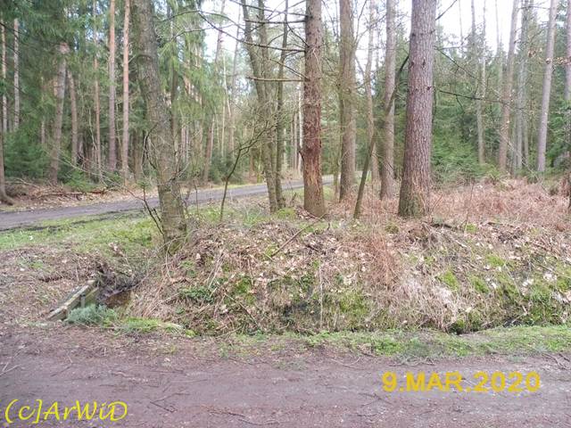 ©Standort Hölzerner Wegweiser 2020 (1)