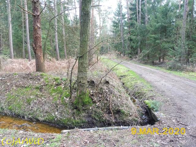 ©Standort Hölzerner Wegweiser 2020 (2)