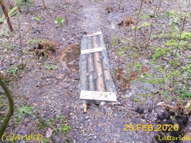 ©Tennhäuser Steg (1)