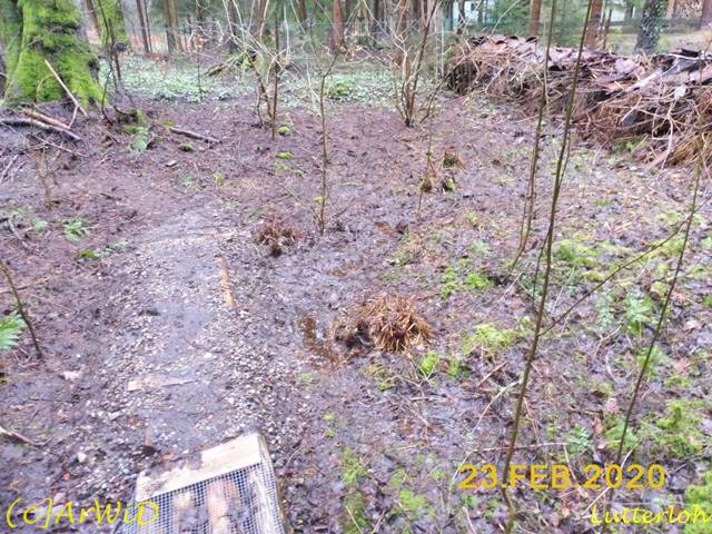 ©Tennhäuser Steg (3)