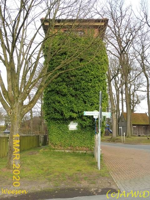 ©Transformationhaus Weesen (1)