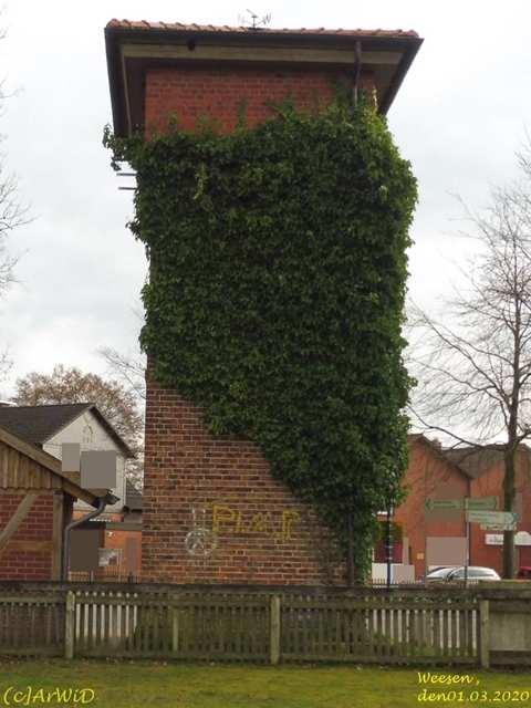 ©Transformationhaus Weesen (4)