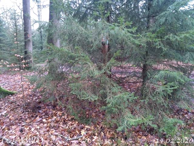 ©Zugewachsener Wegweiser (1)