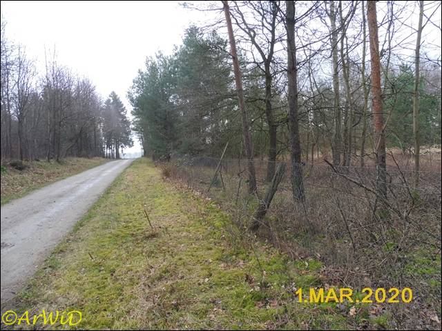 ©Altes DEA-Geände bei Barmbostel (11)