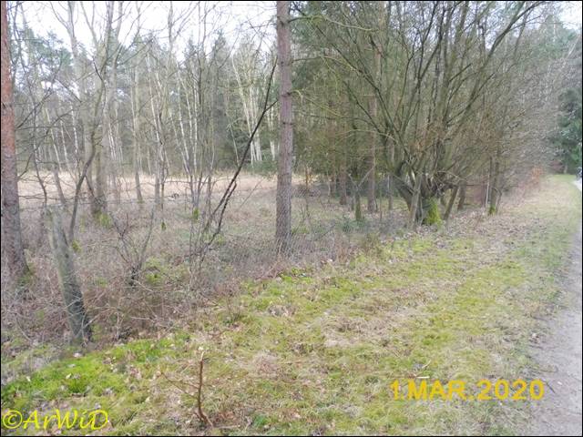 ©Altes DEA-Geände bei Barmbostel (12)