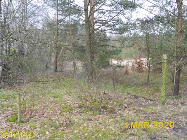 ©Altes DEA-Geände bei Barmbostel (15)