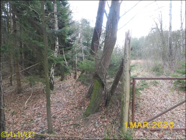 ©Altes DEA-Geände bei Barmbostel (3)