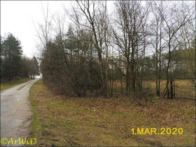 ©Altes DEA-Geände bei Barmbostel (8)