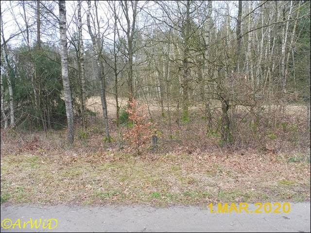 ©Altes DEA-Geände bei Barmbostel (9)