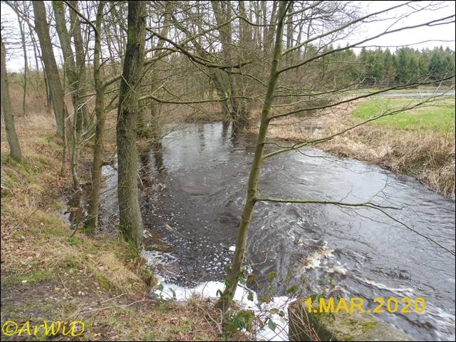©Auslassschleuse Müdener Örtzekanal (12)
