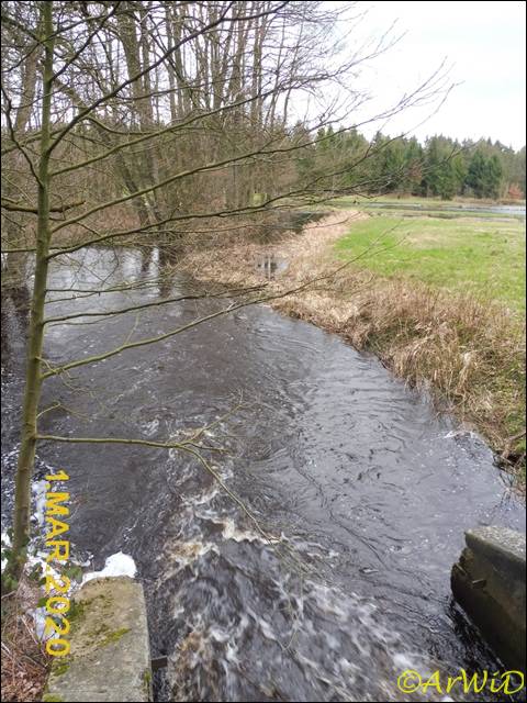 ©Auslassschleuse Müdener Örtzekanal (16)