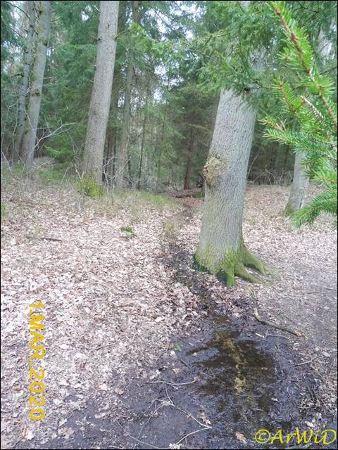 ©Auslassschleuse Müdener Örtzekanal (4)