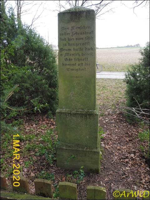 ©Blitzopfrdenkmal bei Barmbostel (9)