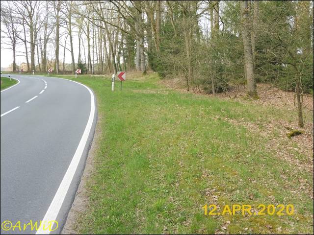 ©Ehemaliger Parkplatz (2)