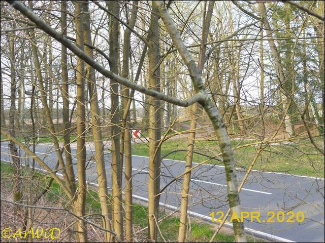 ©Ehemaliger Parkplatz (3)