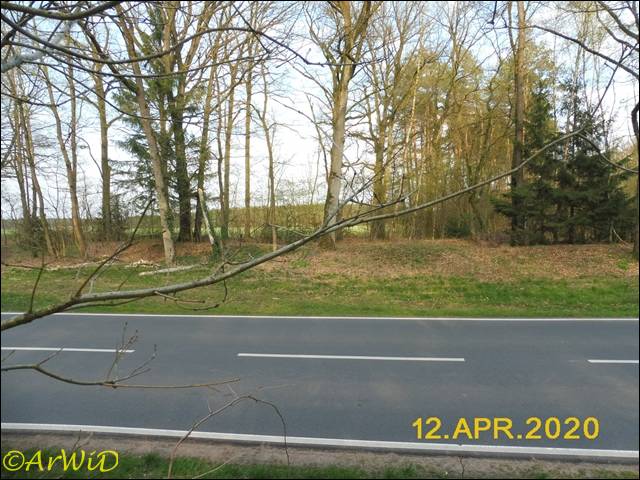 ©Ehemaliger Parkplatz (5)