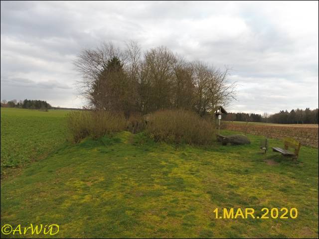 ©Steingrab Siddernhausen (1)