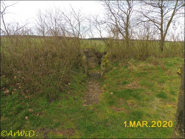 ©Steingrab Siddernhausen (6)