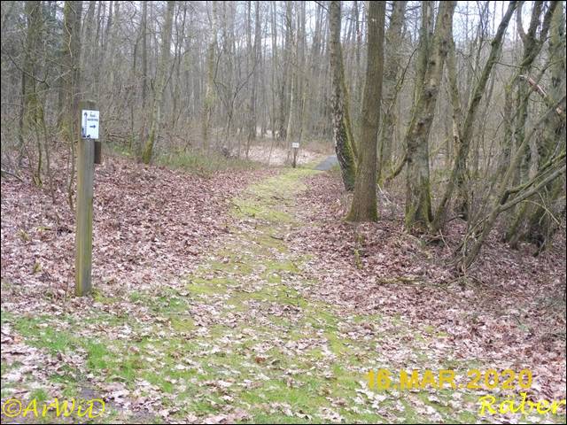 ©Bohlensteg Räber (1)