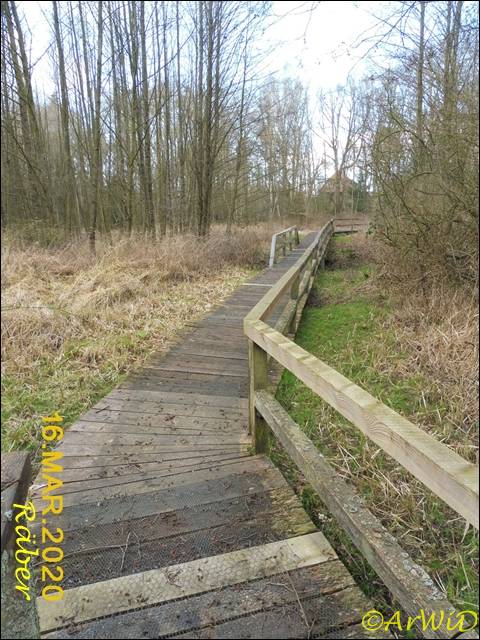 ©Bohlensteg Räber (10)