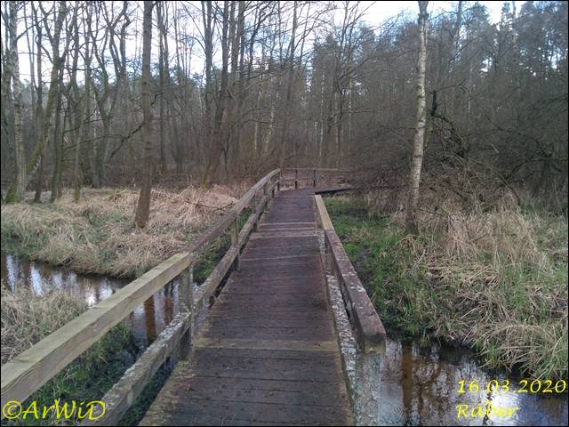 ©Bohlensteg Räber (11)