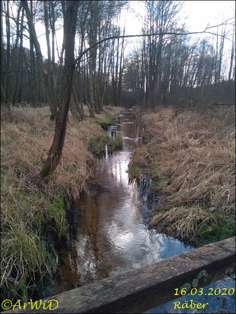 ©Bohlensteg Räber (12)