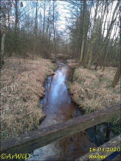 ©Bohlensteg Räber (13)