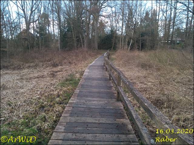 ©Bohlensteg Räber (14)