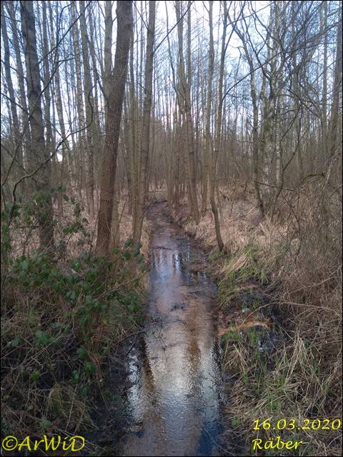 ©Bohlensteg Räber (15)