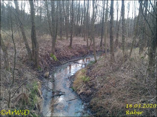 ©Bohlensteg Räber (16)