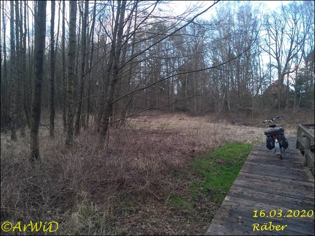 ©Bohlensteg Räber (17)