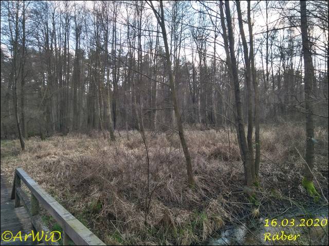 ©Bohlensteg Räber (18)