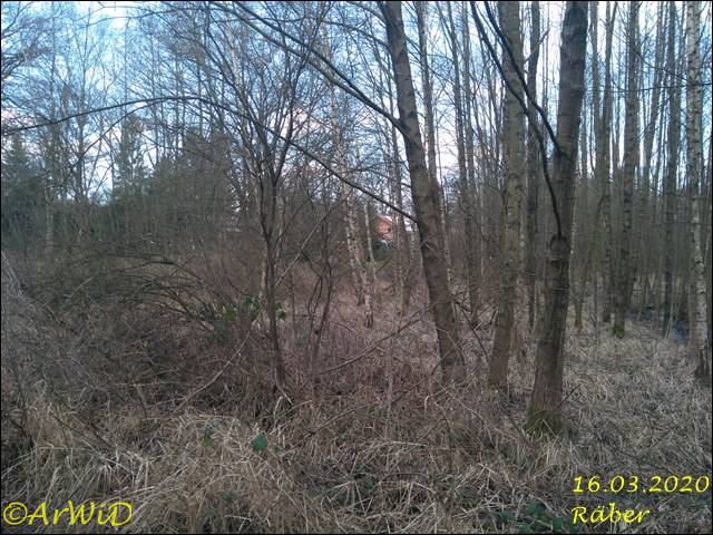 ©Bohlensteg Räber (19)