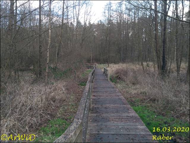 ©Bohlensteg Räber (20)