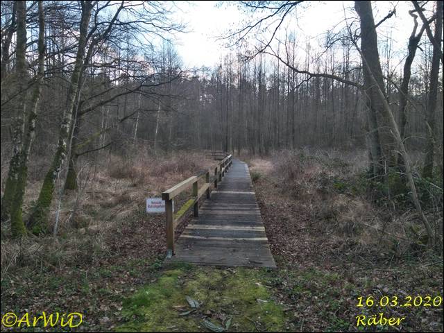 ©Bohlensteg Räber (21)