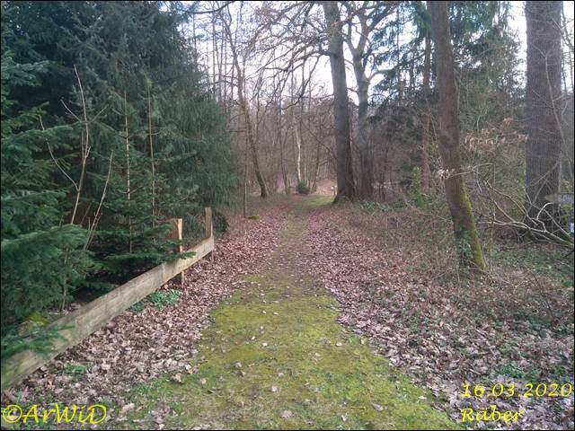 ©Bohlensteg Räber (22)