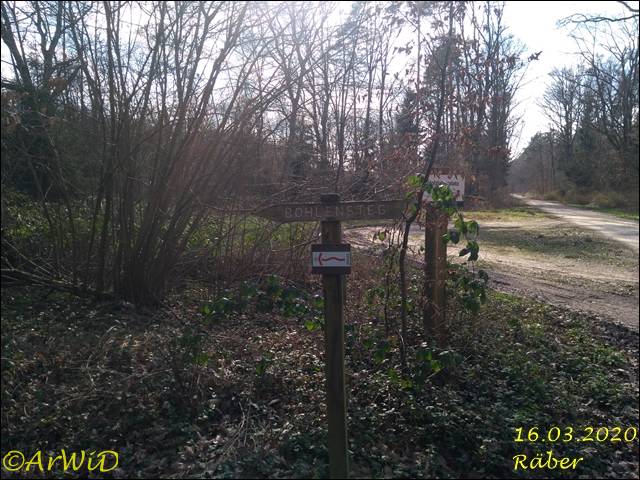 ©Bohlensteg Räber (23)