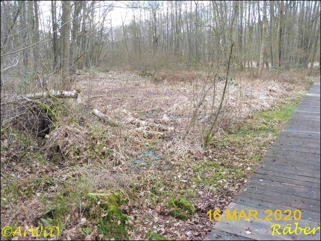 ©Bohlensteg Räber (4)