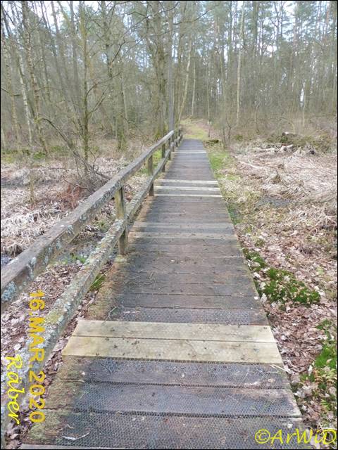 ©Bohlensteg Räber (6)