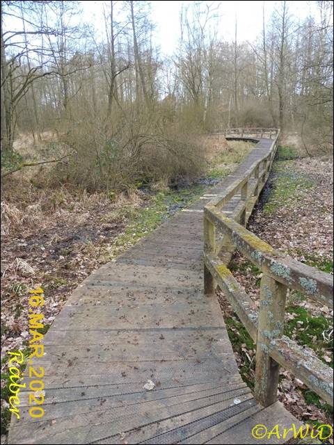 ©Bohlensteg Räber (7)