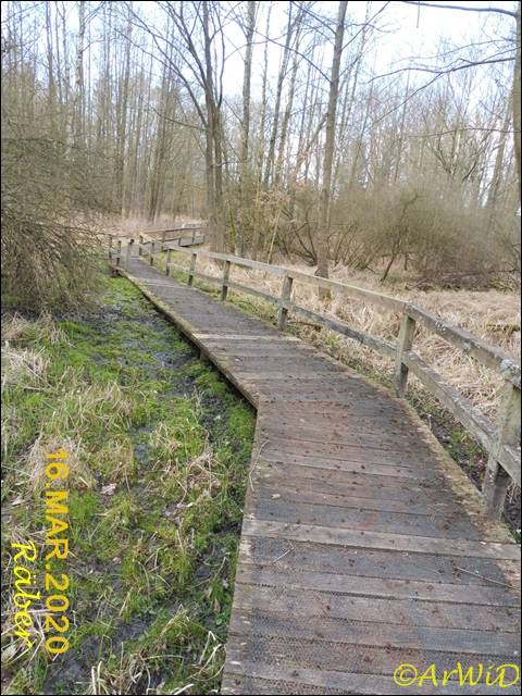 ©Bohlensteg Räber (8)