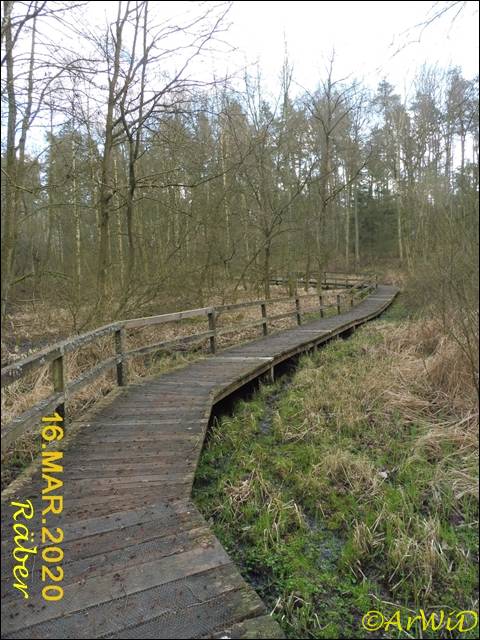 ©Bohlensteg Räber (9)