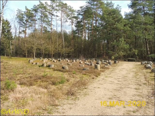 ©Landtagsplatz Hösseringen (7)