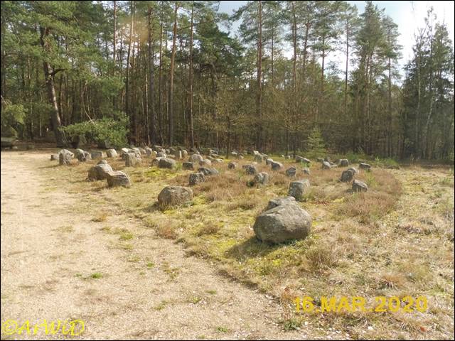 ©Landtagsplatz Hösseringen (8)