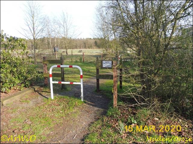 ©Privater Bahneingang Müden (2)