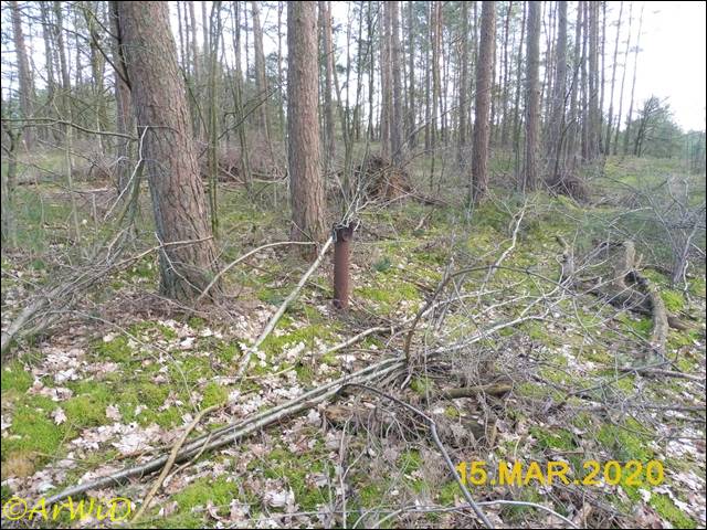 ©Schranke im Wald (2)