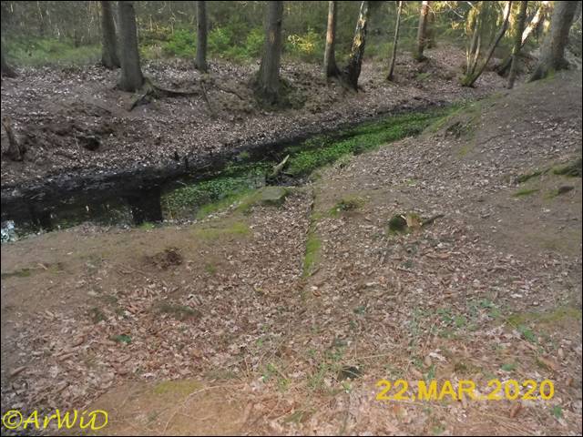 ©Spüren der Rieselwirtschaft (1)