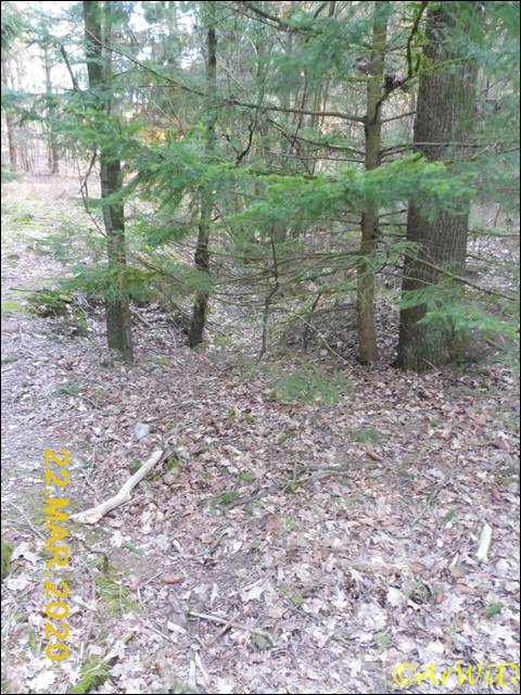 ©Spüren der Rieselwirtschaft (10)